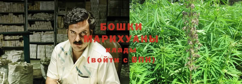 мега как зайти  где можно купить наркотик  Ярославль  Шишки марихуана White Widow 